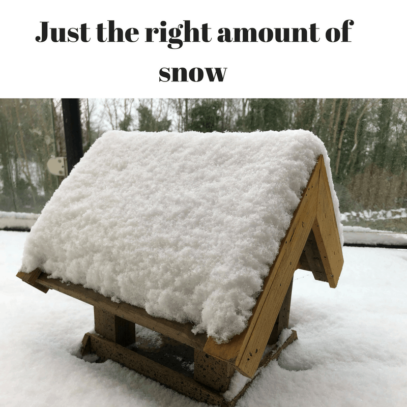 Just the right amount of snow