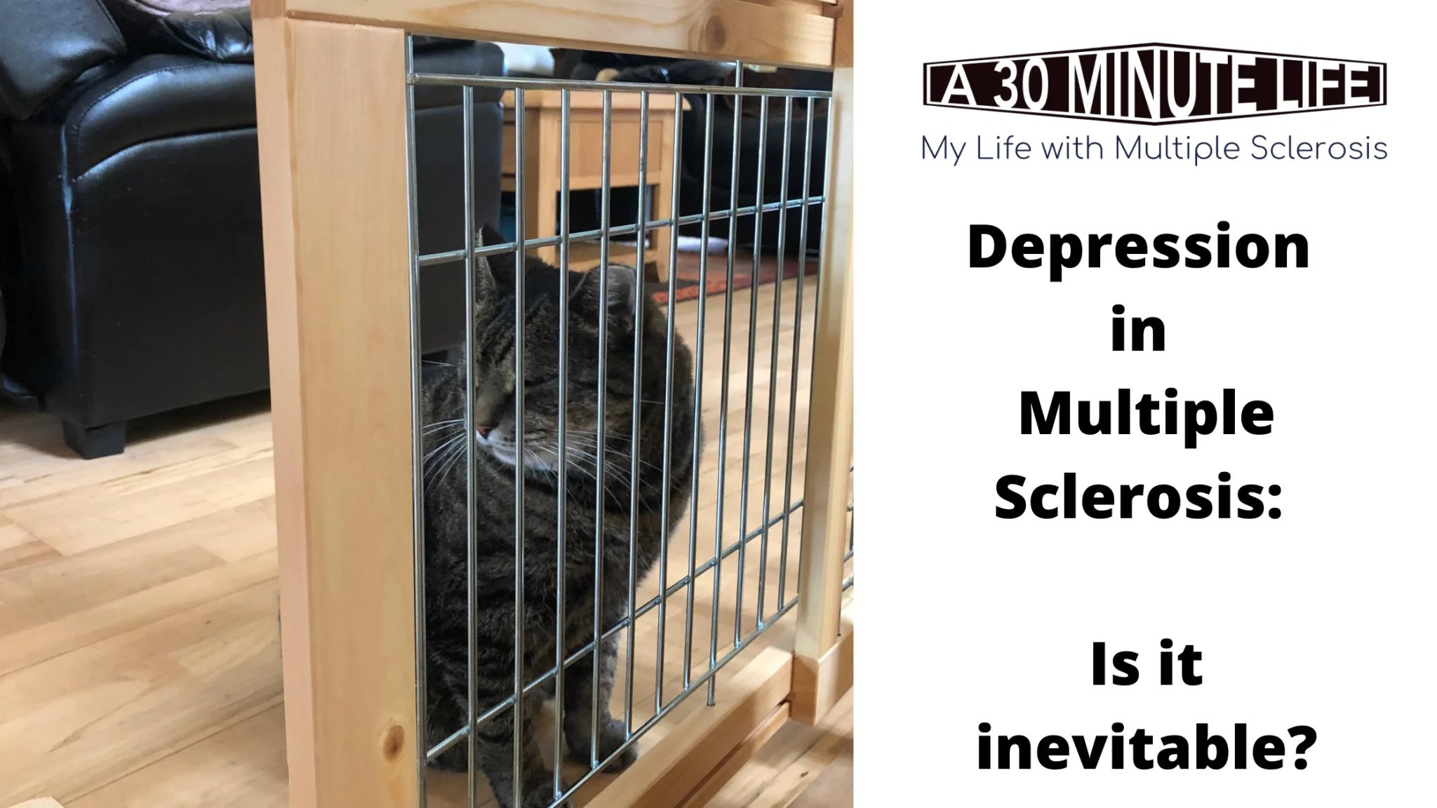 Depression in Multiple Sclerosis_ Is it inevitable?