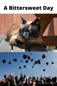 A Bittersweet day, a sick cat and a graduation